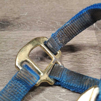 Thick Nylon Halter, adj, snap *gc, v.dirty & stained, faded, rubs, frays