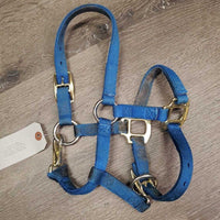 Thick Nylon Halter, adj, snap *gc, v.dirty & stained, faded, rubs, frays