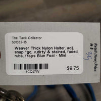 Thick Nylon Halter, adj, snap *gc, v.dirty & stained, faded, rubs, frays
