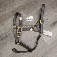 Wst Leather Show Halter, adj, snap, add on bling *gc/fair, dirt, broken end, loose/sharp rivet ends
