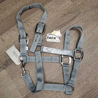 Nylon Halter, Ribbon, adj, snap *new
