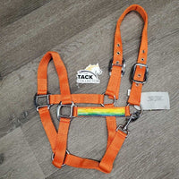 Nylon Halter, Ribbon, adj, snap *new
