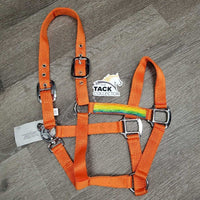 Nylon Halter, Ribbon, adj, snap *new
