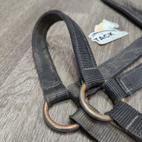 Nylon Halter *gc/fair, rubs, creased, faded, threads, frays
