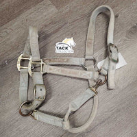 Thick Nylon Halter, adj, snap *fair, rubs, v.stained, faded, snags, discolored, dirty?, frayed holes
