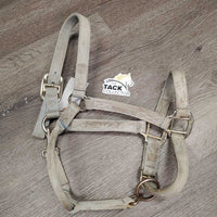 Thick Nylon Halter, adj, snap *fair, rubs, v.stained, faded, snags, discolored, dirty?, frayed holes
