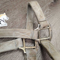 Thick Nylon Halter, adj, snap *fair, rubs, v.stained, faded, snags, discolored, dirty?, frayed holes
