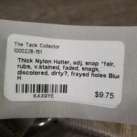 Thick Nylon Halter, adj, snap *fair, rubs, v.stained, faded, snags, discolored, dirty?, frayed holes

