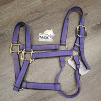 Nylon Halter *gc, dirt, stiff, faded? mnr edge rubs
