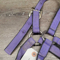 Nylon Halter *gc, dirt, stiff, faded? mnr edge rubs
