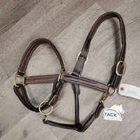 Rsd FS Padded Leather Halter *xc, like new
