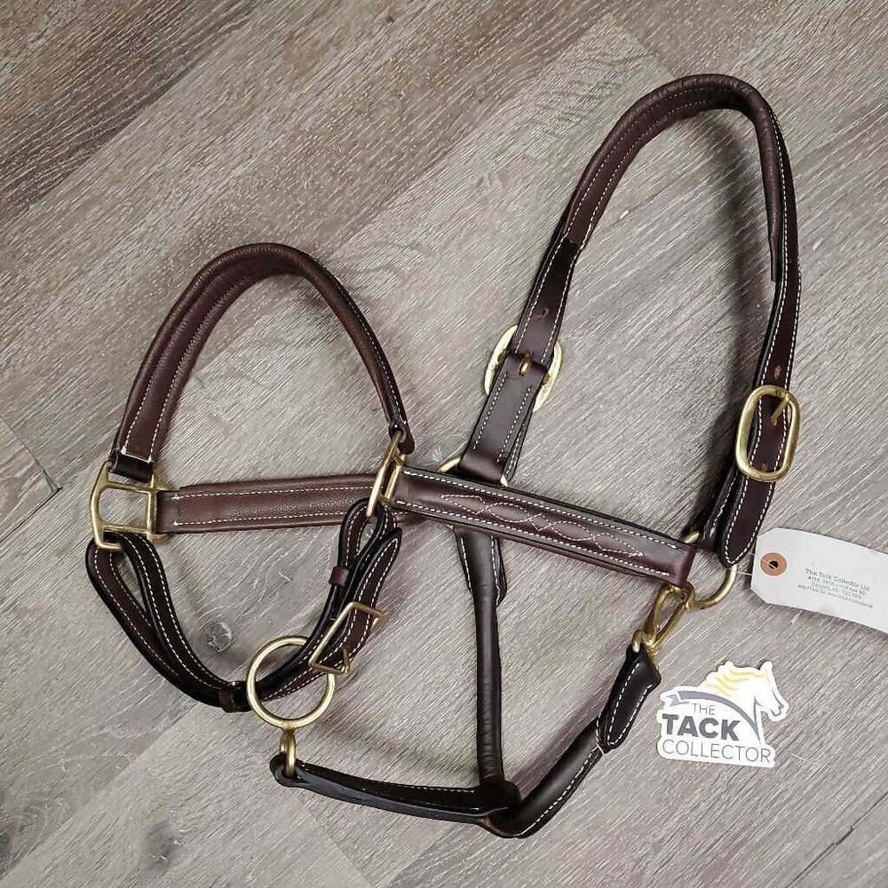 Rsd FS Padded Leather Halter *xc, like new