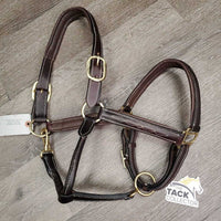 Rsd FS Padded Leather Halter *xc, like new
