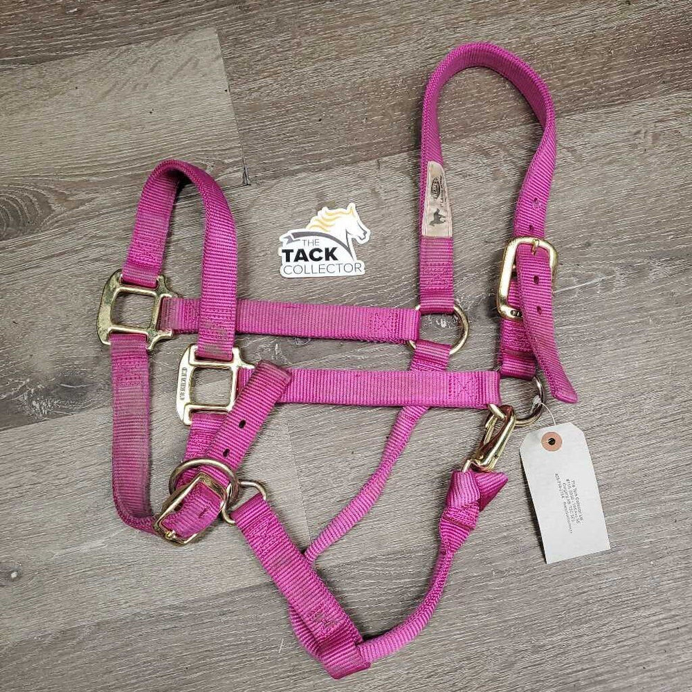Thick Soft Nylon Halter, adj, snap *gc, dirty, mnr rubs & frays
