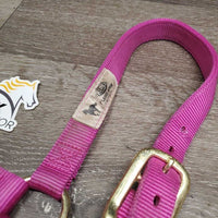 Thick Soft Nylon Halter, adj, snap *gc, dirty, mnr rubs & frays
