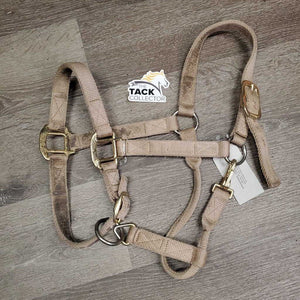 Thick Soft Nylon Halter, adj, snap *gc, v.dirty, stained, frays, pulled holes