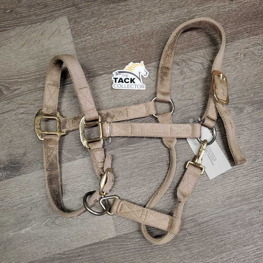 Thick Soft Nylon Halter, adj, snap *gc, v.dirty, stained, frays, pulled holes