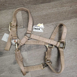 Thick Soft Nylon Halter, adj, snap *gc, v.dirty, stained, frays, pulled holes