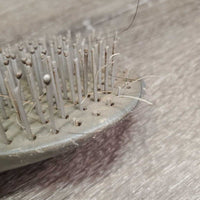 Hard Bristle Tail Brush, string *fair, broken missing teeth, chews, stains, scrapes