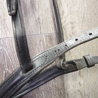 Rsd Padded Noseband *N0 flash, gc, xholes, dirt jockies, edge scrapes
