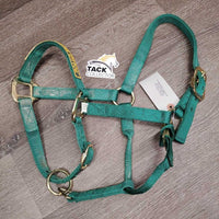 Nylon Halter "AEF Ride and Drive" patch, adj, snap *vgc, mnr dirt, older?