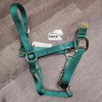 Nylon Halter "AEF Ride and Drive" patch, adj, snap *vgc, mnr dirt, older?
