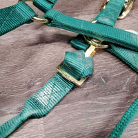 Nylon Halter "AEF Ride and Drive" patch, adj, snap *vgc, mnr dirt, older?
