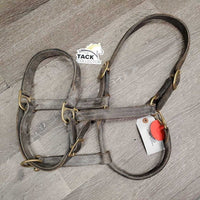 V.Stiff Triple Stitch Leather Halter, "Winsome" nameplate, adj, snap *gc/fair, v.stiff, dry, dirty, scrapes, crackles, threads, rust
