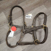 V.Stiff Triple Stitch Leather Halter, "Winsome" nameplate, adj, snap *gc/fair, v.stiff, dry, dirty, scrapes, crackles, threads, rust
