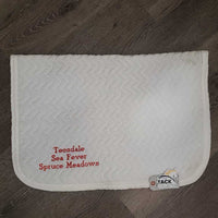 Thin Quilt Baby Saddle Pad "1995 Young Rider's Circuit" *gc, clean, older, mnr stains, pills, hair, dingy
