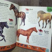 Horse Dictionary by Scholastic *gc/fair, dirty, peeled corners & edges, rubs, scratches
