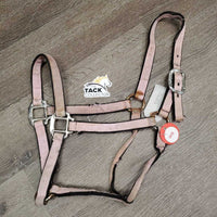 Nylon Halter *fair, v.faded, cuts, stained, oxidization, rust, frays, undone stitching
