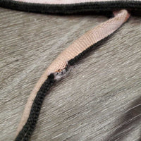 Nylon Halter *fair, v.faded, cuts, stained, oxidization, rust, frays, undone stitching
