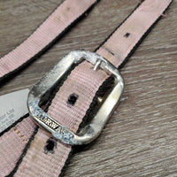 Nylon Halter *fair, v.faded, cuts, stained, oxidization, rust, frays, undone stitching
