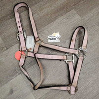 Nylon Halter *fair, v.faded, cuts, stained, oxidization, rust, frays, undone stitching
