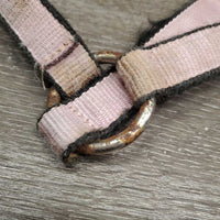 Nylon Halter *fair, v.faded, cuts, stained, oxidization, rust, frays, undone stitching
