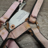 Nylon Halter *fair, v.faded, cuts, stained, oxidization, rust, frays, undone stitching
