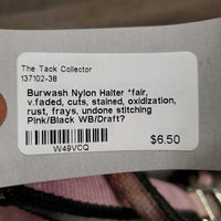 Nylon Halter *fair, v.faded, cuts, stained, oxidization, rust, frays, undone stitching
