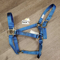 Stiff Nylon Halter *gc/fair, v.stiff, oxidization, stains, rubs, rust, frays
