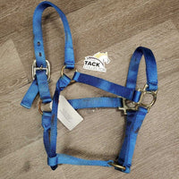 Stiff Nylon Halter *gc/fair, v.stiff, oxidization, stains, rubs, rust, frays
