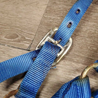 Stiff Nylon Halter *gc/fair, v.stiff, oxidization, stains, rubs, rust, frays
