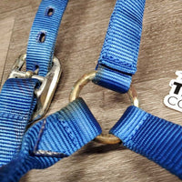 Stiff Nylon Halter *gc/fair, v.stiff, oxidization, stains, rubs, rust, frays
