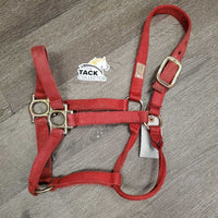 Stiff Nylon Halter *gc, stiff, stained, fading, mnr frays, dirt, oxidization
