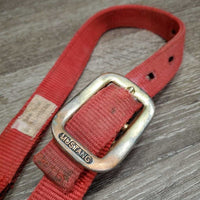 Stiff Nylon Halter *gc, stiff, stained, fading, mnr frays, dirt, oxidization
