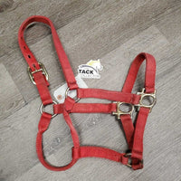 Stiff Nylon Halter *gc, stiff, stained, fading, mnr frays, dirt, oxidization
