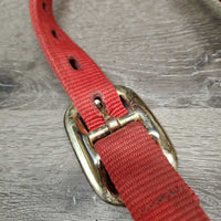 Stiff Nylon Halter *gc, stiff, stained, fading, mnr frays, dirt, oxidization
