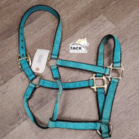 Nylon Halter *gc, clean, faded, stains, frays, rubs, rust
