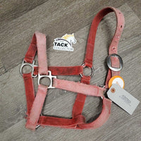 Nylon Halter *fair, v.faded, frays, stained, cuts, mnr hair, undone stitching
