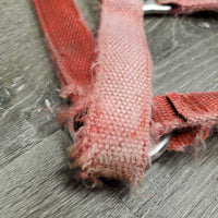 Nylon Halter *fair, v.faded, frays, stained, cuts, mnr hair, undone stitching
