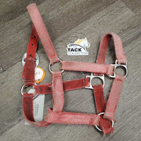 Nylon Halter *fair, v.faded, frays, stained, cuts, mnr hair, undone stitching
